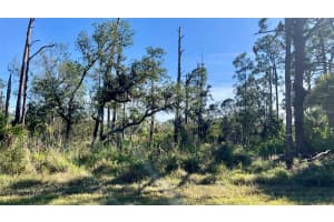 14864 Rothschild Ave, PORT CHARLOTTE
