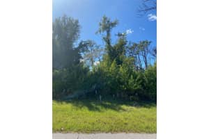 119 Wahoo Dr, ROTONDA WEST 119 Wahoo Dr, ROTONDA WEST