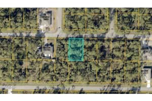 Neon Ave, NORTH PORT