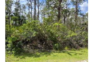 28249 N Twin Lakes Dr, PUNTA GORDA