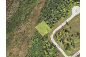 14168 Burrfish Ct, PLACIDA