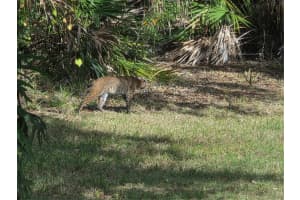 2212 Wakefield St, PORT CHARLOTTE