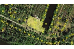 27498 Neaptide Dr, PUNTA GORDA