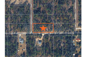 Tbd Se 136th Ter, DUNNELLON