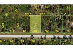 14131 Nevada Ave, PORT CHARLOTTE 14131 Nevada Ave, PORT CHARLOTTE
