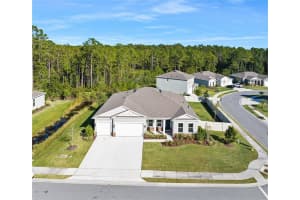 225 Cypress Trail Dr, ORMOND BEACH