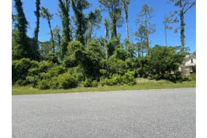 62 Emerson Dr, PALM COAST