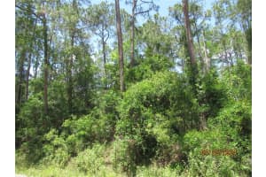 2098 County Road 305, BUNNELL