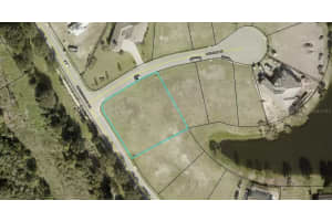 225 Conservatory Dr, PALM COAST