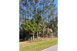 179 Ullian Trl, PALM COAST