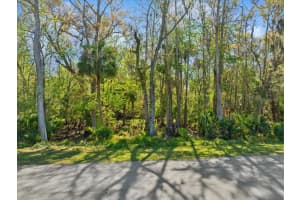 138 Blare Dr, PALM COAST