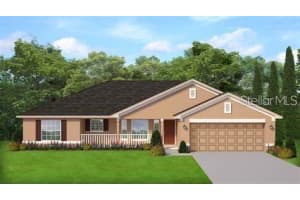 4 Zephyr Lily, PALM COAST