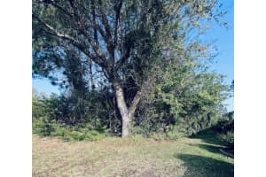 91 Emerald Lake Dr, PALM COAST