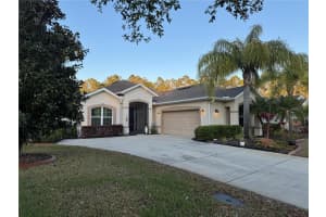 120 S Hummingbird Pl, PALM COAST