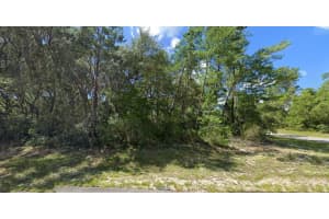 Lot 1 Sw 177 Pl, OCALA