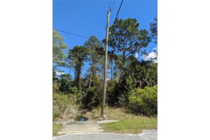 81 Pine Haven Dr, PALM COAST