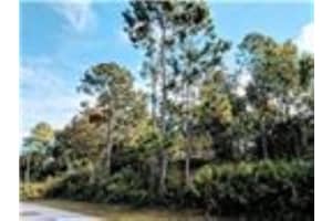 83 Pine Haven Dr, PALM COAST