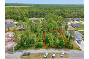 10 Union Run Ct, PALM COAST
