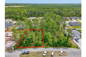 14 Union Run Ct, PALM COAST