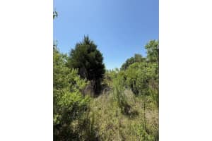 17918 Ne Us Highway 301, WALDO 17918 Ne Us Highway 301, WALDO