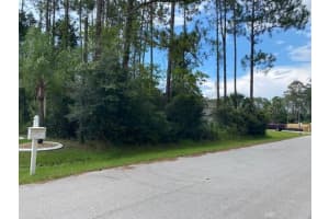 35 Ramblewood Dr, PALM COAST
