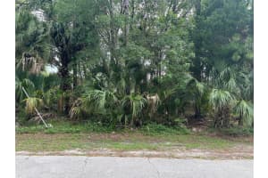 , PALM COAST
