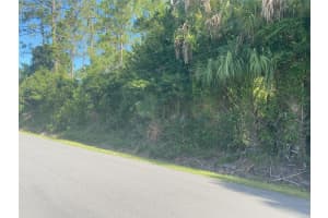 804 Fourth Street St, BUNNELL