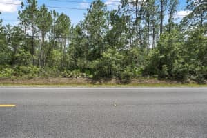 5875 Mahogany Blvd, BUNNELL