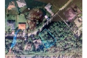 84 Point Of Woods Dr, PALM COAST