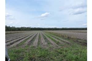 County Road 108 Rd, BUNNELL