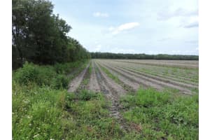 County Road 108 Rd, BUNNELL