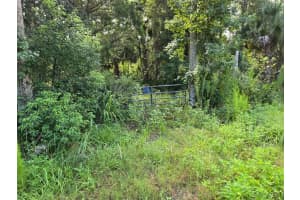 3151 Water Oak Rd, BUNNELL