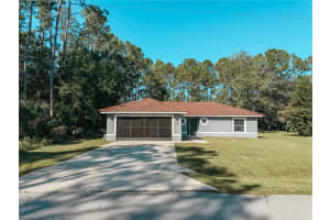 21 Randolph Dr, PALM COAST 21 Randolph Dr, PALM COAST