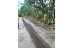 County Rd 335, BUNNELL