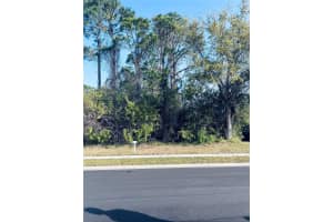 91 Emerald Lake Dr, PALM COAST 91 Emerald Lake Dr, PALM COAST