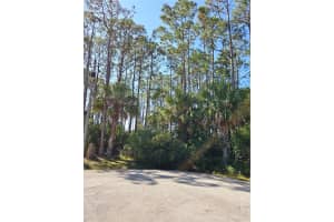 12 Ramsgate Pl, PALM COAST 12 Ramsgate Pl, PALM COAST