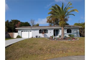 27 Blaine Tree Pl, PALM COAST