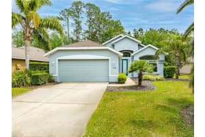 1169 Kilkenny Ln, ORMOND BEACH