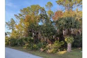 11 Pinelark Ln, PALM COAST 11 Pinelark Ln, PALM COAST