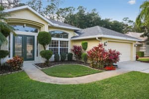 18 Black Creek Way, ORMOND BEACH