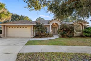 6 Ibis Ct N, PALM COAST 6 Ibis Ct N, PALM COAST
