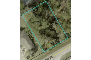 88 Kalamazoo Trl, PALM COAST