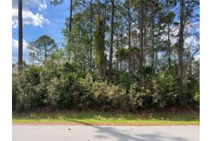 68 Birchwood Dr, PALM COAST 68 Birchwood Dr, PALM COAST