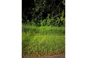 814 Massy Ct, KISSIMMEE