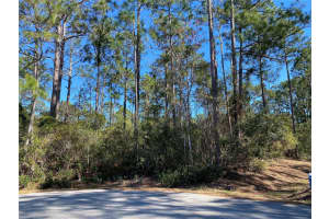 17 Zorlou Ct, PALM COAST 17 Zorlou Ct, PALM COAST