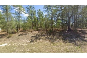 2551 W Sheila Dr, CITRUS SPRINGS