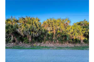 60 Coral Reef Ct N, PALM COAST