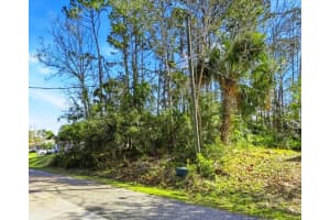 40 Brushwood Ln, PALM COAST