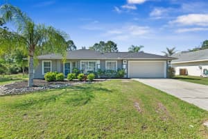 6 Buffalo Berry Pl, PALM COAST