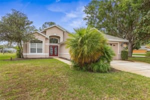 60 Villa Lago Ln, ORMOND BEACH